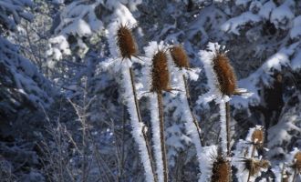 Bolu, Türkiye’nin en soğuk ili oldu............................