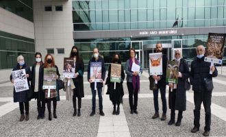 Bolu’da, 15 kızıl geyiğin avlanması ihalesi iptal edildi