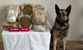 Bolu'da 17 kilo esrar ele geçirildi…