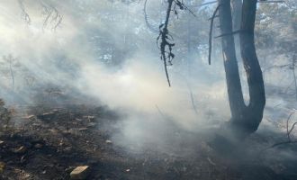 Bolu’da 2 dönümlük orman kül oldu.....