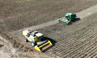 Bolu'da 23 bin 500 dekarda ayçiçek hasadı başladı.....