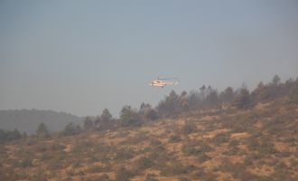 Bolu’da, 40 hektarlık alanda etkili olan orman yangını kontrol altına alındı