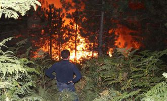 Bolu’da 45 orman yangınında 180 hektar alan zarar gördü...