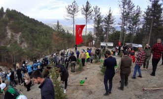 Bolu’da 83 farklı noktada 50 bin adet fidan dikildi