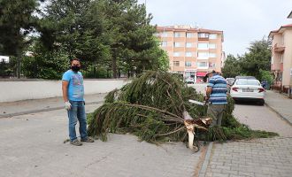 Bolu’da aniden şiddetlenen rüzgar ağaçları parçaladı