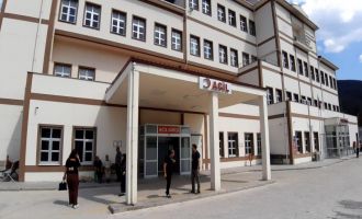 Bolu'da ayı saldırısında 1 kişi yaralandı: Saldırı sonrası av kararı