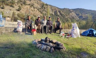 Bolu’da çeltik hasadı başladı….