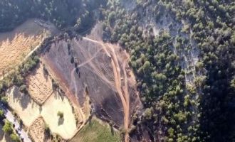 Bolu'da çıkan orman yangınında 5 hektarlık alan küle döndü....