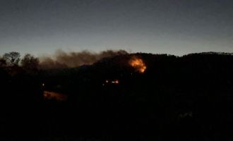 Bolu'da çıkan yangın saatlerdir söndürülmeye çalışılıyor