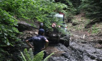Bolu’da devrilen ağacın altında kalan işçi hayatını kaybetti