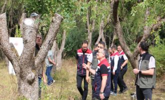Bolu'da doğadan toplanan orman meyveleri gelir kapısı oldu