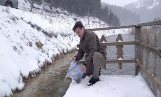 Bolu’da göllere 620 bin alabalık yavrusu bırakıldı