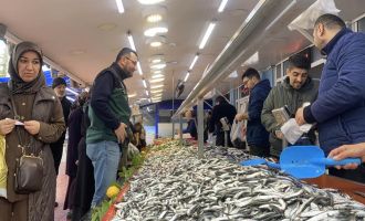 Bolu'da hamsi bolluğu sürüyor: Kilosu 200 liradan rağbet gördü