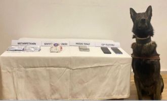 Bolu’da jandarmadan uyuşturucu operasyonu......