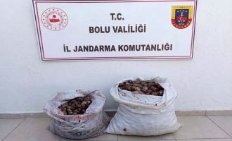 Bolu'da kaçak salyangoz operasyonu: 2 şahıs jandarmaya yakalandı