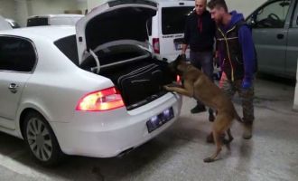 Bolu'da kaçakçılık operasyonunda 6 gözaltı