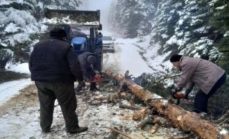 Bolu'da karla kaplanan yayla yollarını köylüler açtı