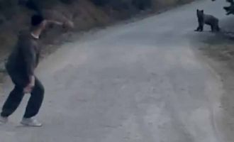 Bolu'da karşılarına çıkan ayıyı taşla kovaladılar.......