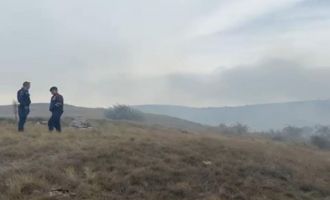 Bolu’da kırsal alanda çıkan yangın ormana sıçramadan söndürüldü