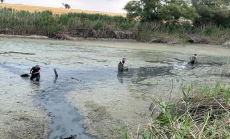 Bolu'da, kuruyan gölette mahsur kalan balıklar kurtarıldı