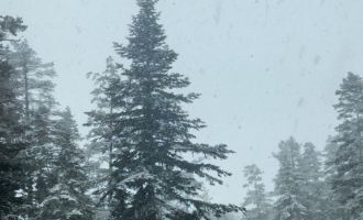 Bolu’da mayıs ayının ortasında kar yağdı......