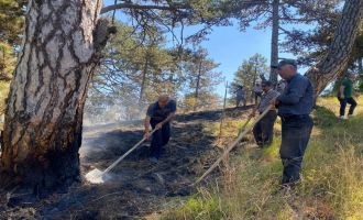 Bolu’da orman yangını büyümeden söndürüldü.....