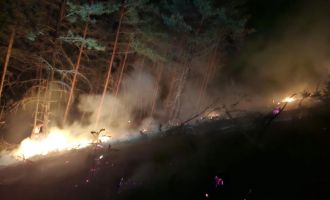 Bolu'da orman yangını paniği: Köylülerin hızlı müdahalesi faciayı önledi