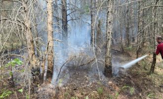 Bolu’da ormanlık alanda çıkan yangın kontrol altına alındı.......