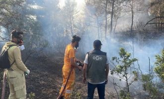 Bolu’da ormanlık alanda çıkan yangın kontrol altına alındı