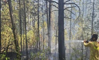 Bolu’da ormanlık alanda örtü yangını faciaya dönüşmeden söndürüldü