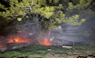 Bolu’da ormanlık alanda yangın…….