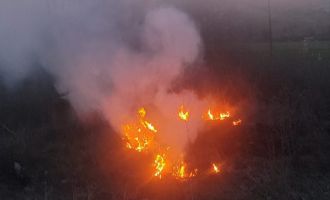 Bolu’da otluk alanda çıkan yangın büyümeden söndürüldü....