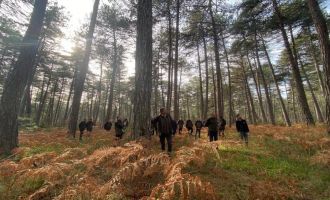 Bolu’da sağlıklı ormanlar için ekipler sahaya indi