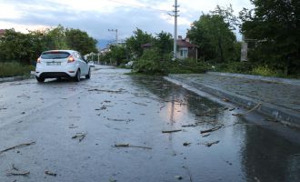 Bolu’da şiddetli fırtına ağaçları devirdi....