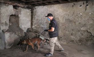 Bolu’da son sekiz ayda 60 kilo esrar 71 kilo eroin ele geçirildi