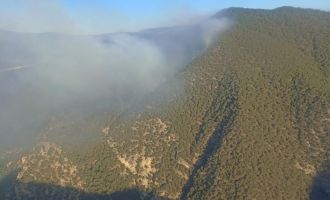 Bolu'da söndürülemeyen orman yangınına Ankara ve Balıkesir'den helikopter desteği