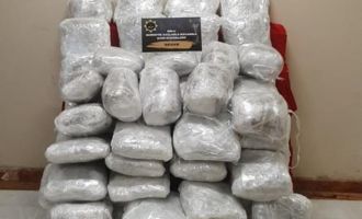 Bolu’da uyuşturucu operasyonu: 57 kilogram skunk ele geçirildi