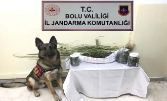 Bolu’da uyuşturucu operasyonu: 8 gözaltı....