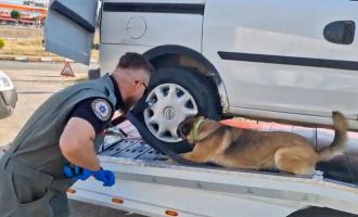 Bolu'da uyuşturucuya 9 operasyon yapıldı...