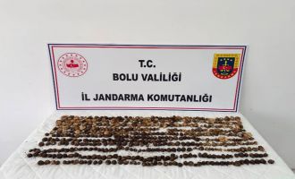 Bolu'da yabani salep toplayan 3 kişiye rekor ceza: 2 milyon 97 bin TL