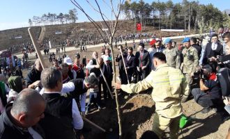 Bolu’da yanan orman yeniden yeşeriyor…....