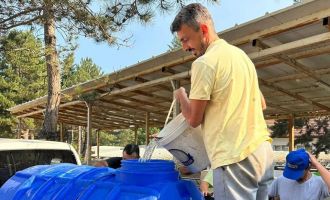 Bolu’da yavru pullu sazan balığı üretimi devam ediyor....