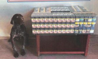 Bolu’da yolcu otobüsünde kaçak sigara ele geçirildi