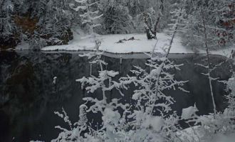 Bolu’da, yürüyüş yapan iki kişinin üzerine ağaç parçası düştü: 1 ölü 1 yaralı