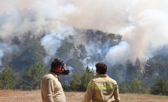 Bolu'daki orman yangını kontrol altına alınamıyor.....