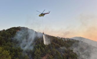 Bolu’daki orman yangını kontrol altına alındı…….