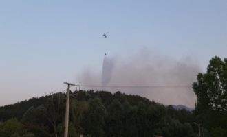 Bolu’daki orman yangını kontrol altına alındı...........