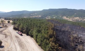 Bolu’daki orman yangını tamamen kontrol altına alındı........