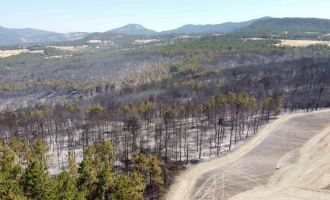 Bolu’daki orman yangınıyla ilgili 1 kişi tutuklandı....