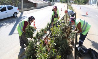 Bolu’nun dört bir yanı süs bitkileri ve çiçeklerle donatılıyor